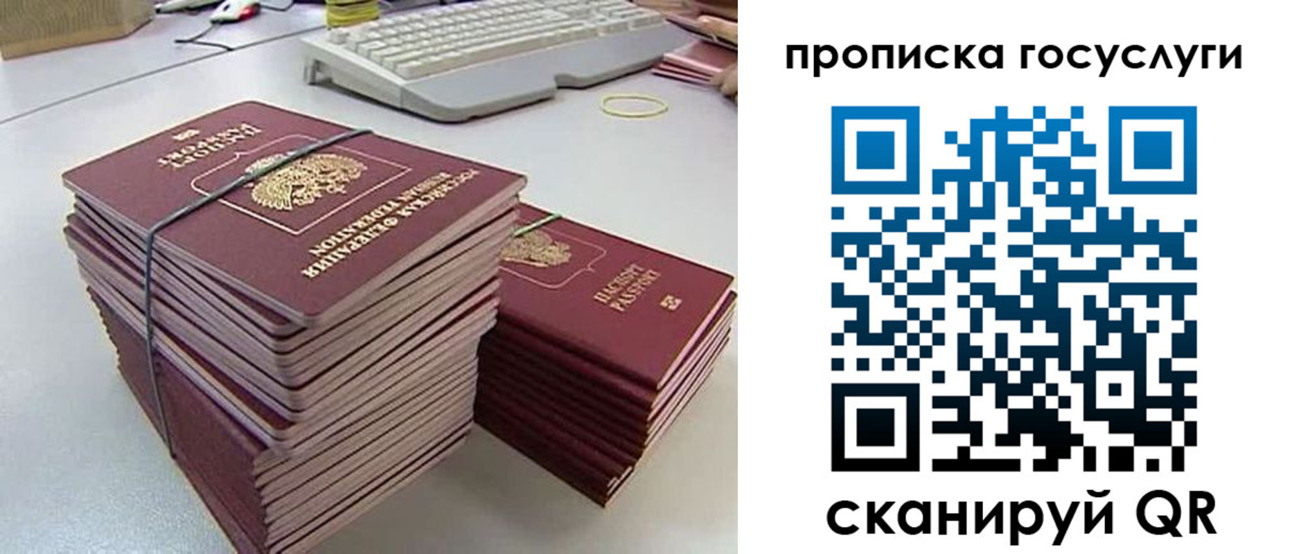 временная регистрация для школы в Зернограде